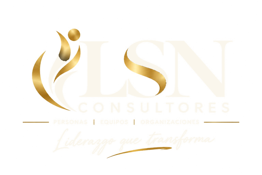 LSN Consultores